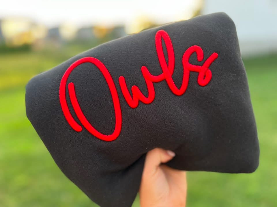 Puff Embroidered Owls Sweatshirt