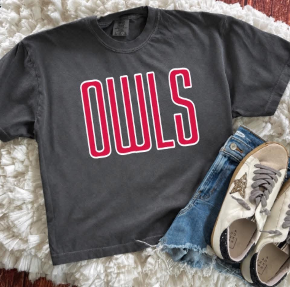 Boxy Owls Tee (preorder)