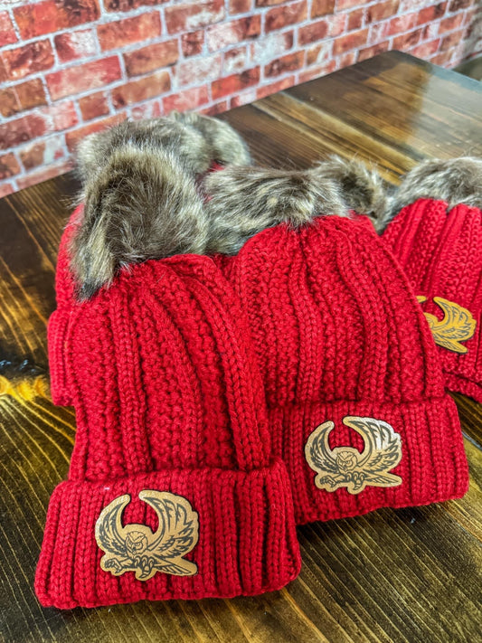 Elgin Owls Beanie