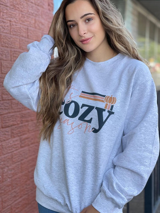 It's Cozy Season Sweatshirt Plus Size