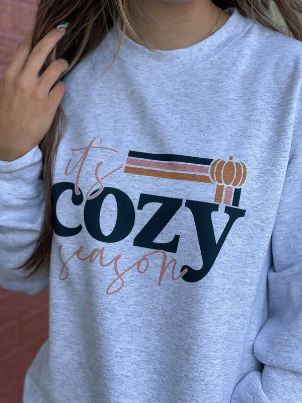 It's Cozy Season Sweatshirt Plus Size