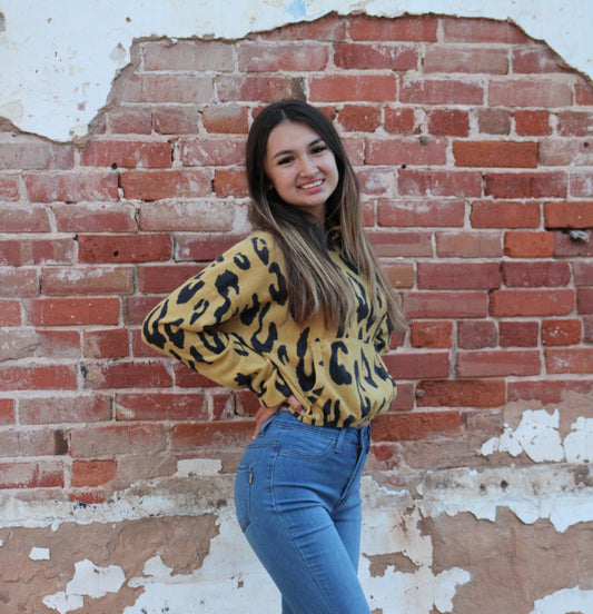 Cropped Animal Print Pullover